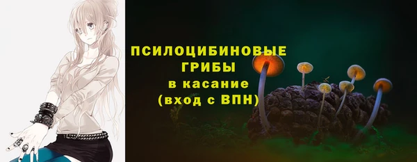 apvp Алзамай