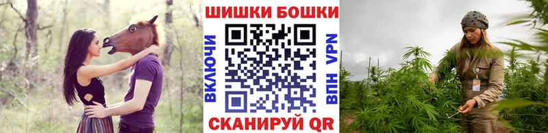 купить наркотик  ОМГ ОМГ зеркало  МАРИХУАНА конопля  Сосновый Бор 